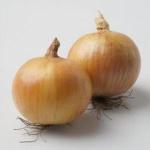 cebula-dacapo-f1-typ-amerykanski-250000-nas-naturalne