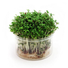 a5667275-3839x2550jpg-GALLERY_MAI2-22610