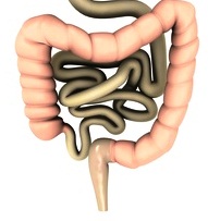 Fotolia_17968903_XS-Kopie