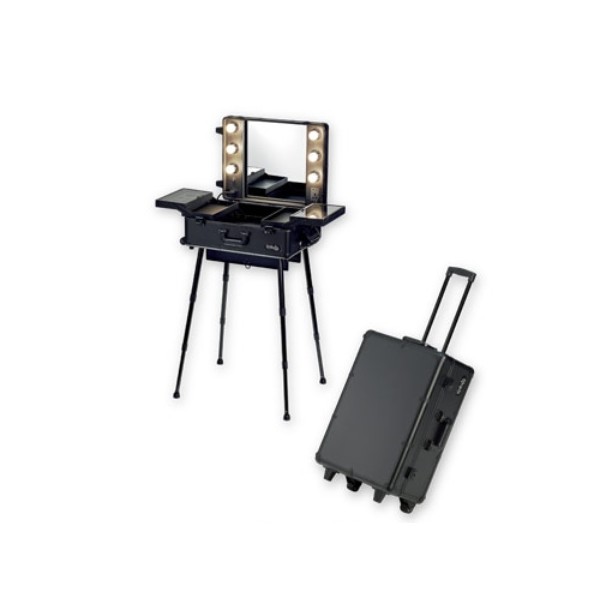 stanowisko wizazysty