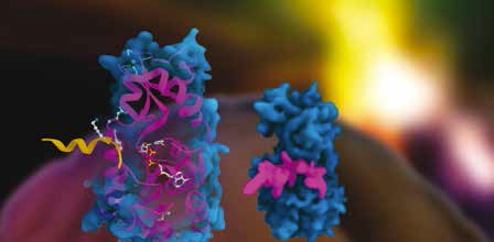 Źródło:3dscience.com