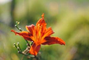 Jak przygotować skórę na nadejście wiosny?