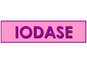 Prezentacja IODASE