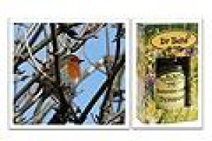 Czym „józefek” nas zaskoczy?