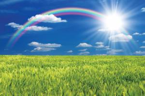 Witamina D na wyciągnięcie ręki