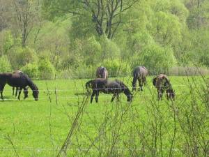 Szanujmy każdego człowieka