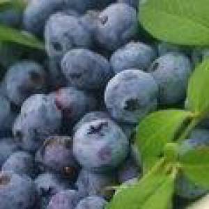 Sześciu sprzymierzeńców w walce z tłuszczem na brzuchu