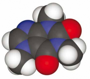Zastosowanie kofeiny w przemyśle spożywczym i kosmetycznym